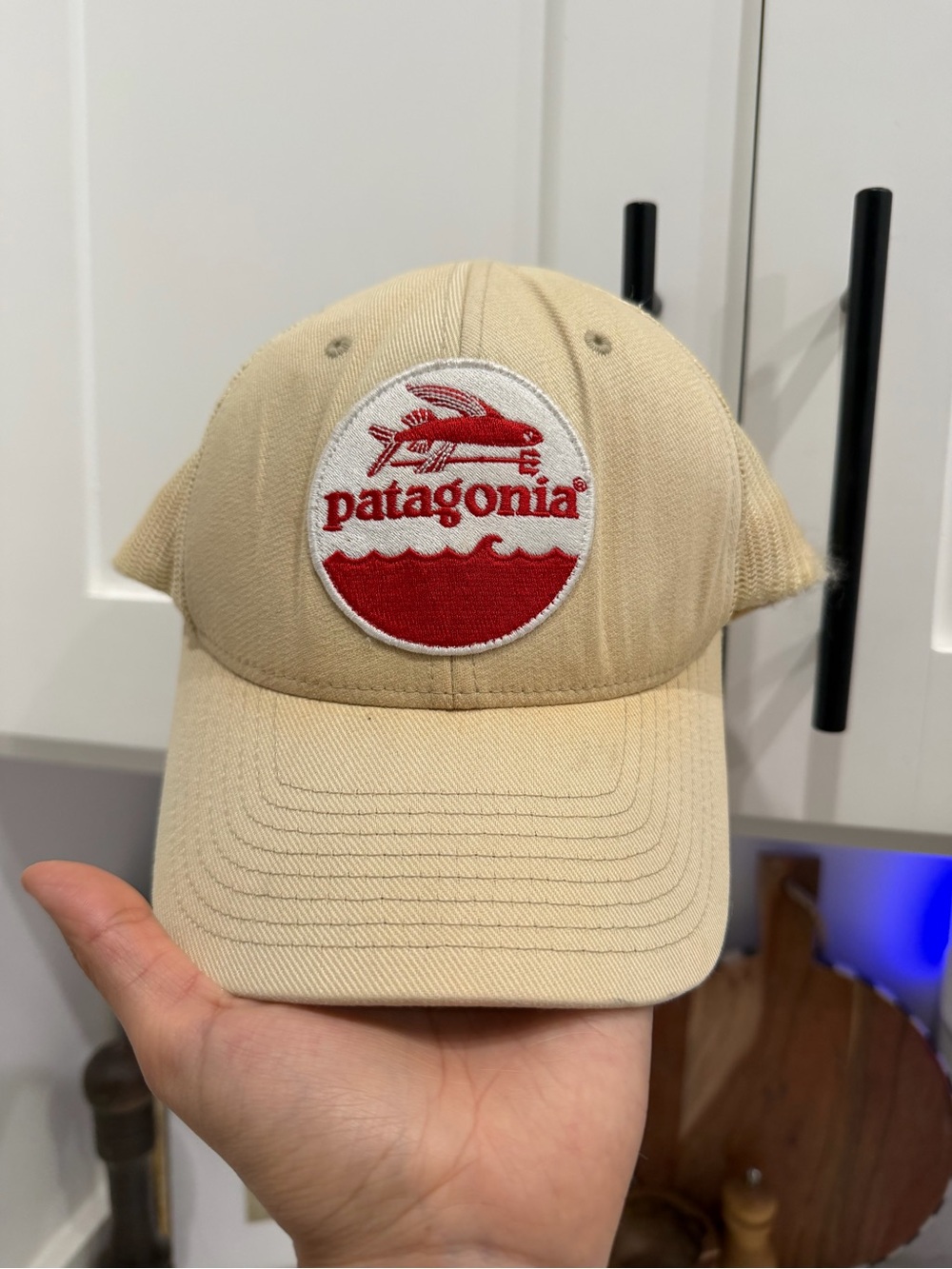 Patagonia Fly Fish Cap Cap Very Good Mesh Beige